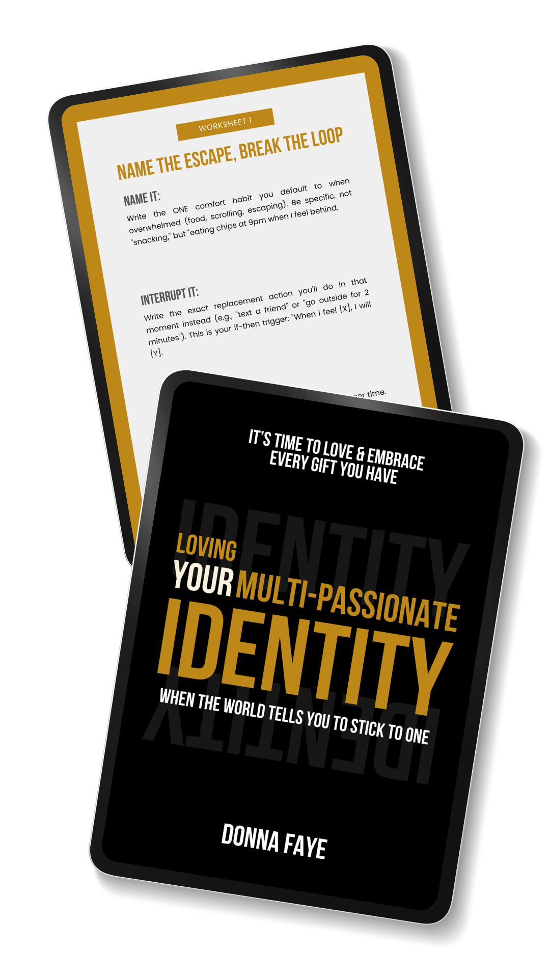 Loving Your Multi-Passionate Identity book and paperback workbook